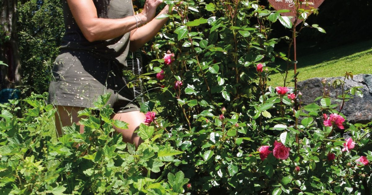 Auf natürliche Weise die Pflanzen im Garten stärken