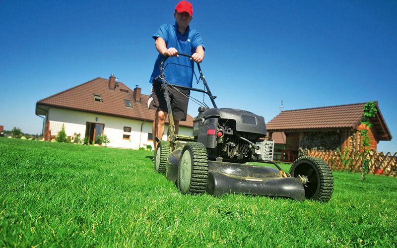 Den Rasen in Frühjahrslaune bringen Den Rasen in Frühjahrslaune bringen