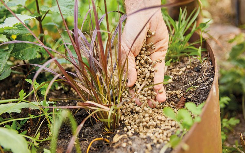 Schutzschild fürs Gartenbeet Schutzschild fürs Gartenbeet
